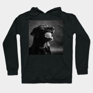 Labrador Retriever Hoodie